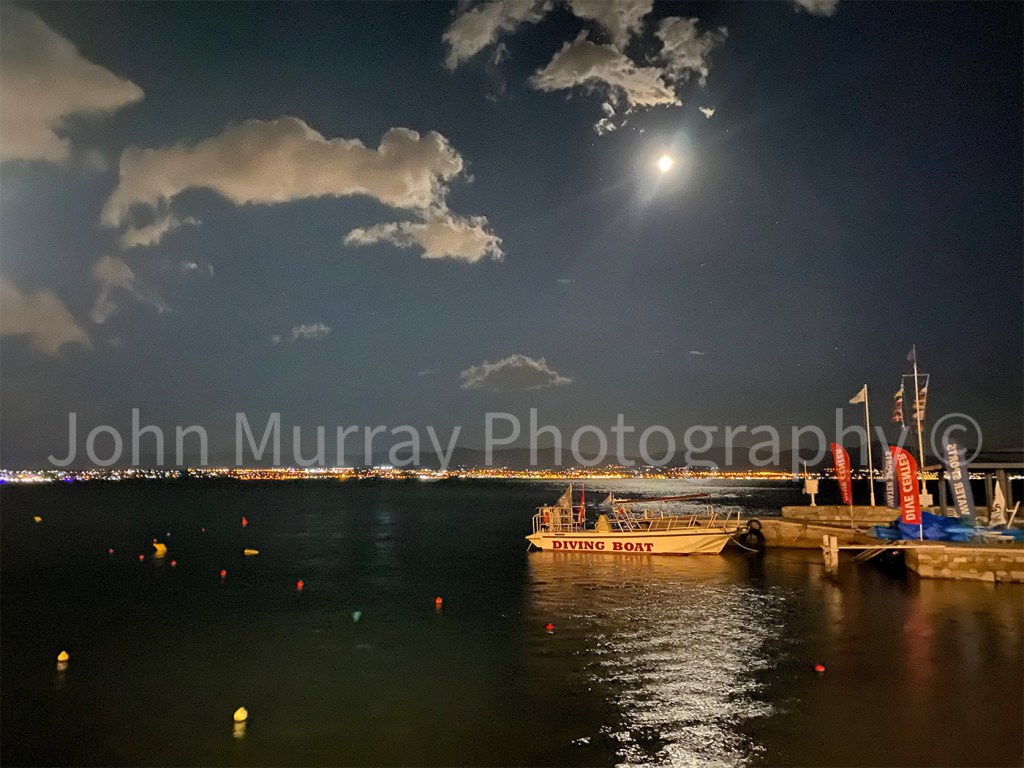 Moonlit Marina Serenity